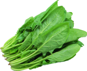 Spinach PNG-79127